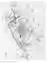 Fig. 08 - Assay apparatuses, methods and reagents