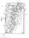 Fig. 02 - Image forming device including handle with shiftable operational positions