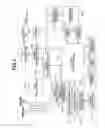Fig. 03 - Electronic apparatus, method for controlling same, enabling a user to easily identify the amount of zooming operation