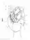 Fig. 02 - Computer mouse