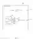 Fig. 05 - Digital signal processing data transfer