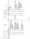 Fig. 08 - Digital signal processing data transfer
