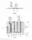 Fig. 06 - Automated redesign of integrated circuits using relaxed spacing rules