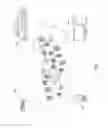 Fig. 02 - PREDICTING THE PROBABILITY OF OPPORTUNITIES TO BE WON FROM ORGANIZATION INFORMATION
