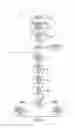 Fig. 07 - Self adapting alert device