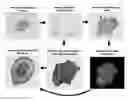 Fig. 01 - Apparatuses And Systems Utilizing Zeta Potential Prediction of Structures and Methods of Use Thereof