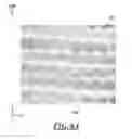 Fig. 06 - Hexagonal packing laser ablation
