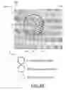 Fig. 07 - Hexagonal packing laser ablation