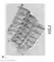 Fig. 08 - Hexagonal packing laser ablation
