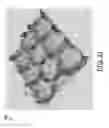 Fig. 13 - Hexagonal packing laser ablation