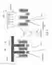 Fig. 07 - Contact formation in semiconductor devices