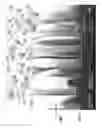Fig. 02 - SCREEN PRINTING ELECTRICAL CONTACTS TO NANOSTRUCTURED AREAS