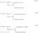 Fig. 09 - Polymer, polymer electrolyte membrane and membrane/electrode assembly