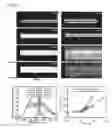 Fig. 19 - Continuous-wave organic thin-film distributed feedback laser and electrically driven organic semiconductor laser diode