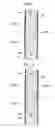 Fig. 08 - Stator of rotary electric machine and method of manufacturing stator coil