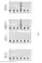 Fig. 06 - PT-RS configuration depending on scheduling parameters