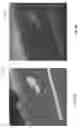 Fig. 14 - Rolling shutter correction for images captured by a camera mounted on a moving vehicle