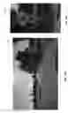 Fig. 15 - Rolling shutter correction for images captured by a camera mounted on a moving vehicle