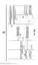 Fig. 41 - Multi-band millimeter wave discovery in WLAN distribution networks