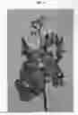 Fig. 04 - Vanda plant named 'SPCDEW1712'