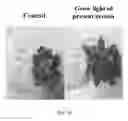 Fig. 22 - Light control device for stimulating plant growth and method thereof