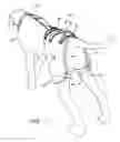 Fig. 02 - ANIMAL THERAPY DEVICE
