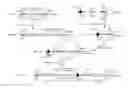 Fig. 01 - Mouse having an engineered immunoglobulin lambda light chain