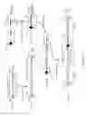 Fig. 02 - Mouse having an engineered immunoglobulin lambda light chain