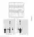 Fig. 17 - Mouse having an engineered immunoglobulin lambda light chain