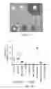 Fig. 04 - ANTIMICROBIAL GEOPOLYMER COMPOSITIONS