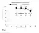 Fig. 02 - Method for producing nucleic acid seasoning