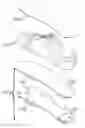 Fig. 01 - Sole structures including polyolefin plates and articles of footwear formed therefrom