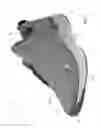 Fig. 02 - Sole structure for article of footwear