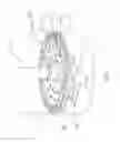 Fig. 09 - Coffee brewing press with displaceable agitator