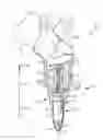 Fig. 01 - Device for the attached flow of blood