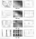 Fig. 22 - Automated, objective method of assessing tinnitus condition
