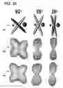 Fig. 34 - Quantitative differentiation of tumor heterogeneity using diffusion MR imaging data