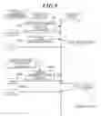 Fig. 08 - Radiographing control apparatus, radiographic imaging apparatus and radiographic imaging system