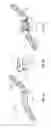 Fig. 09 - LAMINOPLASTY PLATES, SYSTEMS, AND DEVICES, AND METHODS RELATING TO THE SAME