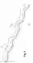 Fig. 06 - Implant for bone fixation