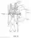 Fig. 07 - Devices, agents, and associated methods for selective modulation of renal nerves