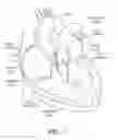 Fig. 02 - Prosthetic valve holders, systems, and methods