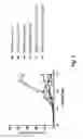 Fig. 02 - HEAT-EXPOSED PLATELET LYSATE COMPOSITIONS, AND METHODS FOR PREPARING AND USING SAME