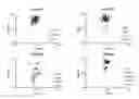 Fig. 01 - Agonist antibodies that bind human CD137 and uses thereof