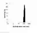 Fig. 02 - Preparation and application of novel multifunctional nanocomposite material with new photosensitizer