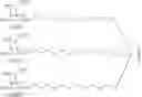 Fig. 49 - Nucleic acid conjugates and uses thereof