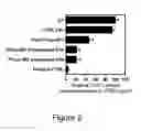 Fig. 03 - METABOLIC DRUG LOADING OF EVs