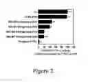 Fig. 04 - METABOLIC DRUG LOADING OF EVs