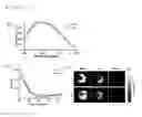 Fig. 02 - Curcumin derivative, method for producing same, and photo-acoustic imaging agent comprising same for detecting beta-amyloid plaque