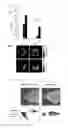 Fig. 03 - Curcumin derivative, method for producing same, and photo-acoustic imaging agent comprising same for detecting beta-amyloid plaque